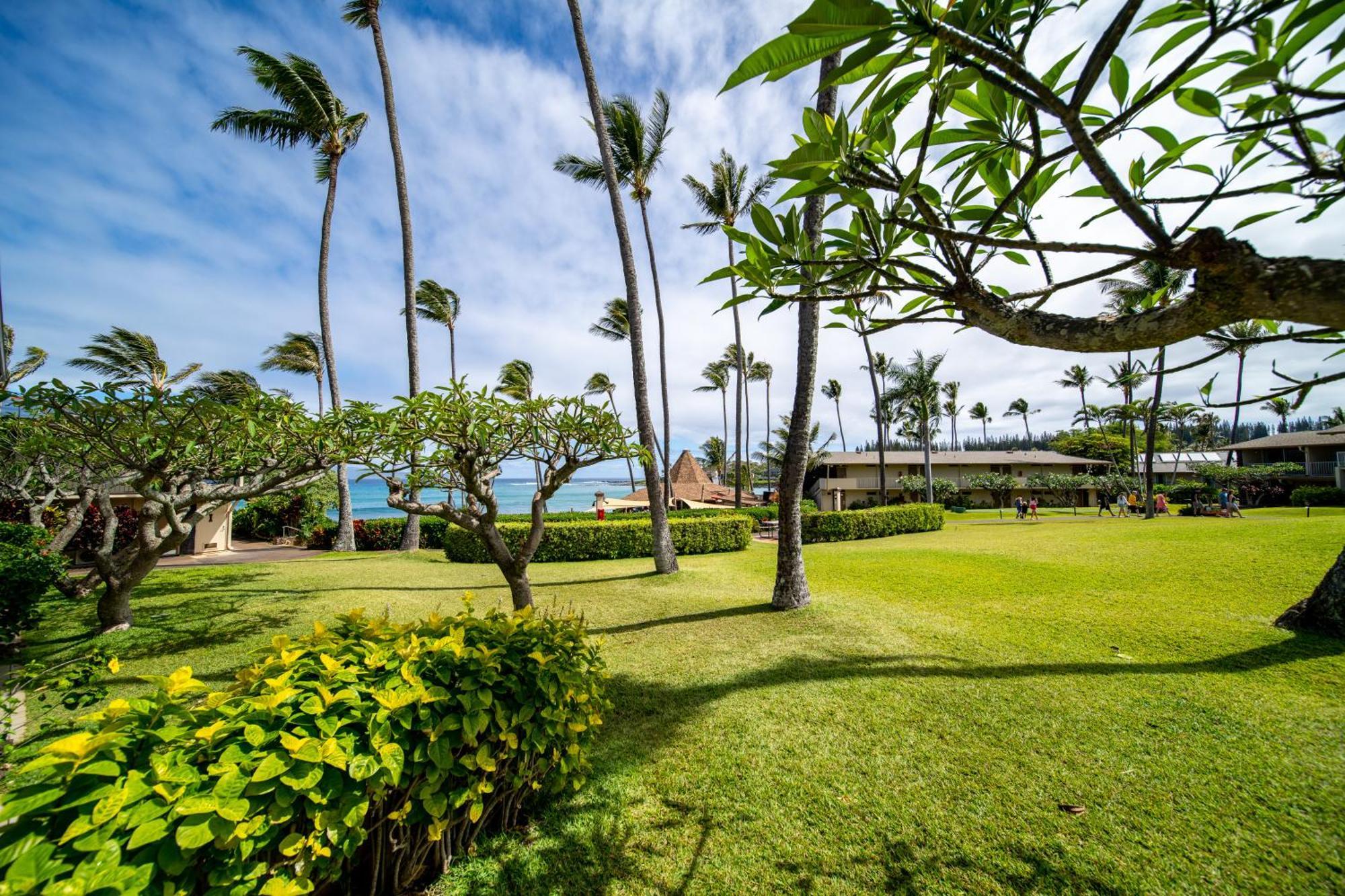 Napili Shores Maui By Outrigger - No Resort & Housekeeping Fees Лахайна Номер фото